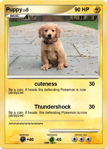Pokemon Puppy
