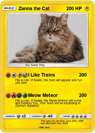 Pokemon Zanna the Cat