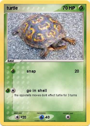 Pokemon turtle