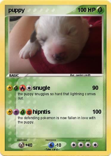 Pokemon puppy