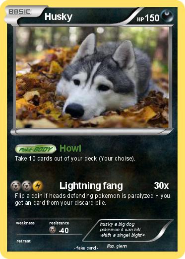 Pokemon Husky