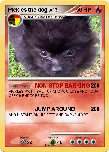 Pokemon Pickles the dog