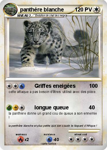 Pokemon panthère blanche