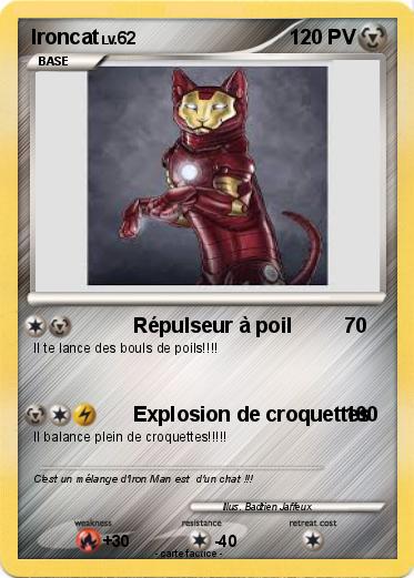 Pokemon Ironcat