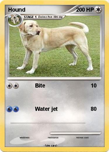 Pokemon Hound