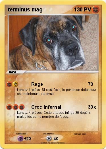Pokemon terminus mag