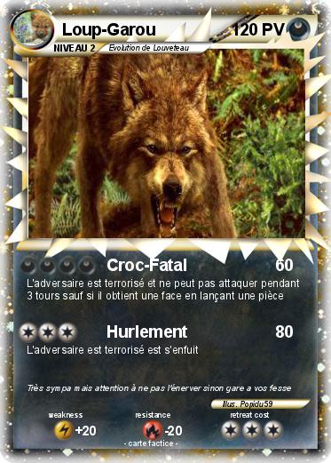 Pokemon Loup-Garou