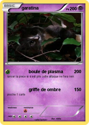 Pokemon garatina