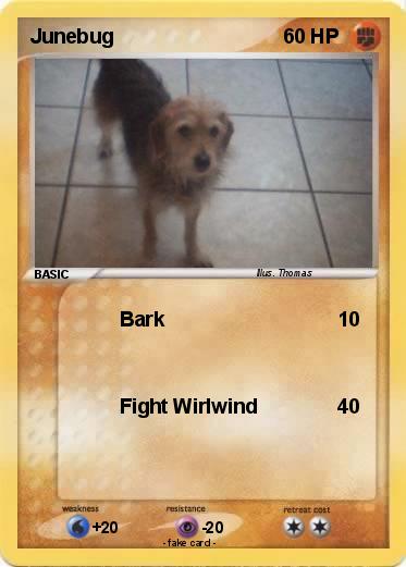 Pokemon Junebug