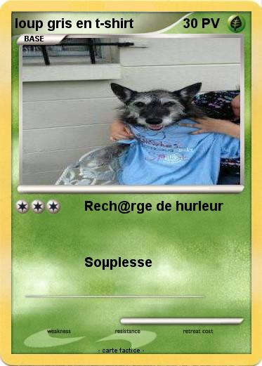 Pokemon loup gris en t-shirt