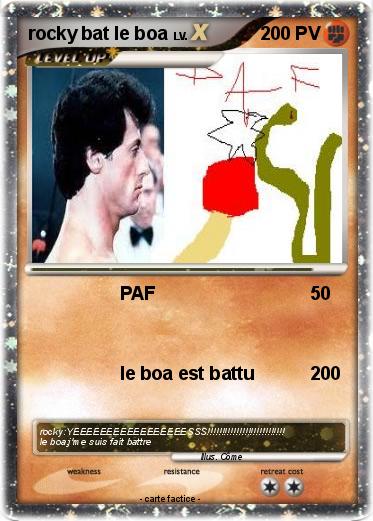 Pokemon rocky bat le boa