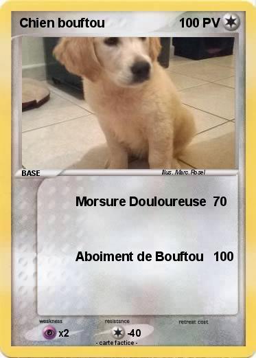 Pokemon Chien bouftou