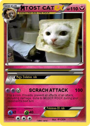 Pokemon TOST CAT