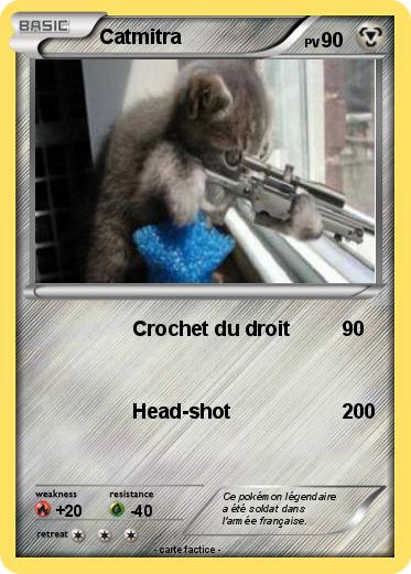 Pokemon Catmitra
