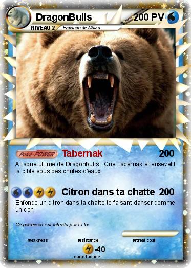 Pokemon DragonBulls
