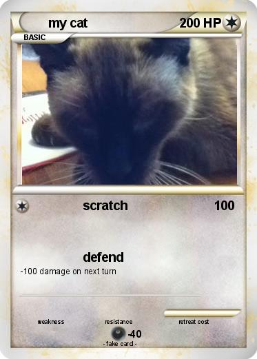 Pokemon my cat