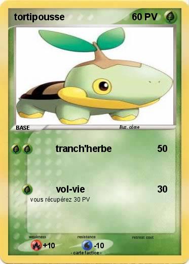 Pokemon tortipousse