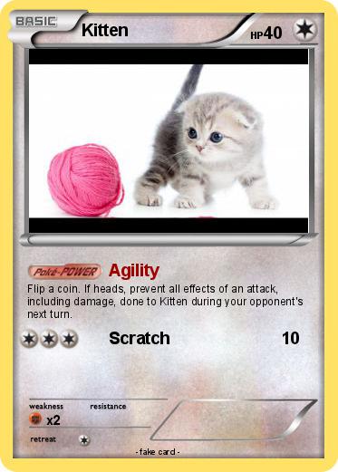 Pokemon Kitten