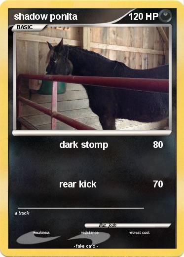 Pokemon shadow ponita