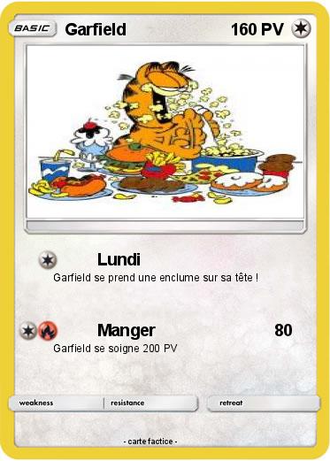 Pokemon Garfield