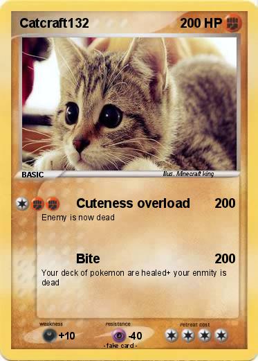 Pokemon Catcraft132