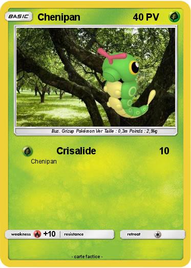 Pokemon Chenipan