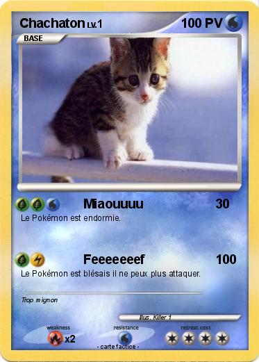 Pokemon Chachaton