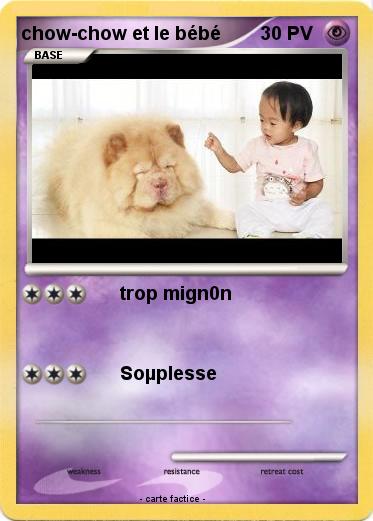 Pokemon chow-chow et le bébé