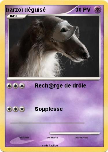 Pokemon barzoï déguisé
