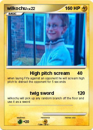 Pokemon wilkochu