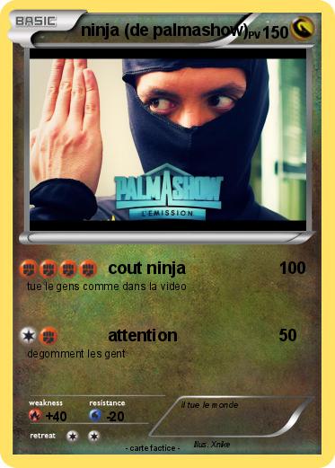 Pokemon ninja (de palmashow)