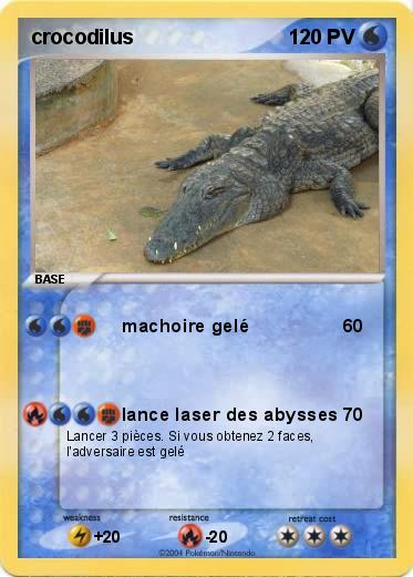 Pokemon crocodilus