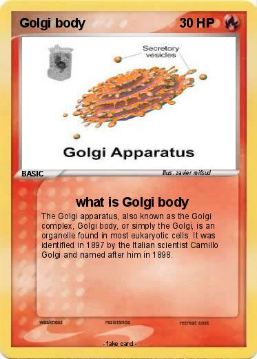 Pokemon Golgi body