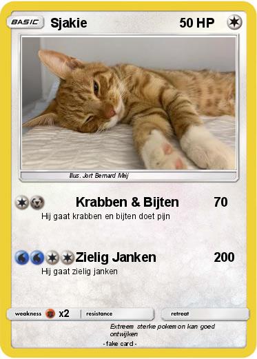 Pokemon Sjakie