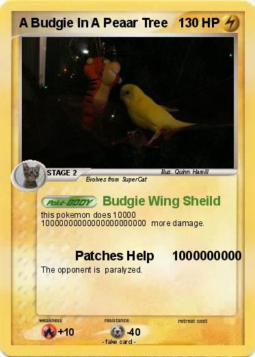Pokemon A Budgie In A Peaar Tree