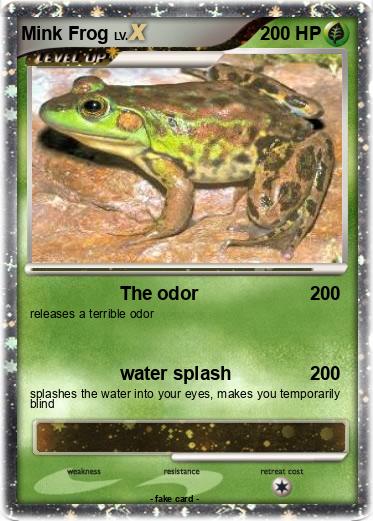 Pokemon Mink Frog