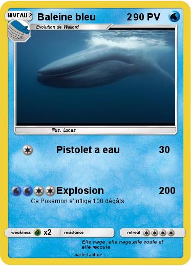 Pokemon Baleine bleu            2