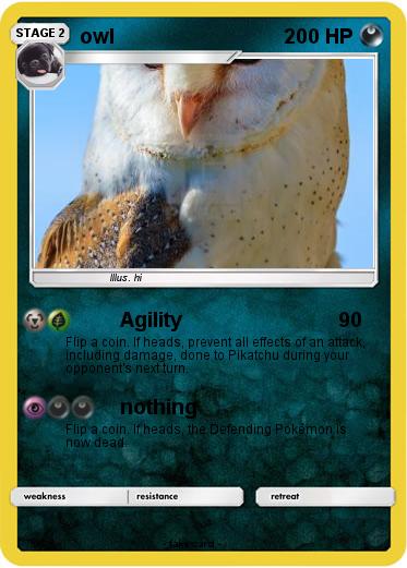 Pokemon owl