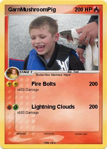 Pokemon GarnMushroomPig