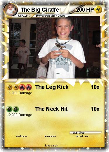 Pokemon The Big Giraffe