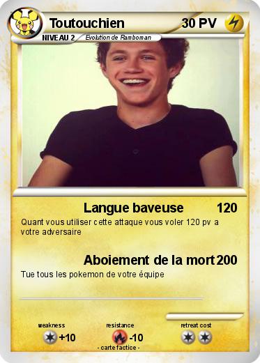 Pokemon Toutouchien