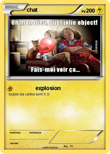Pokemon chat