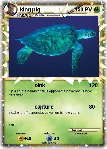 Pokemon king pig