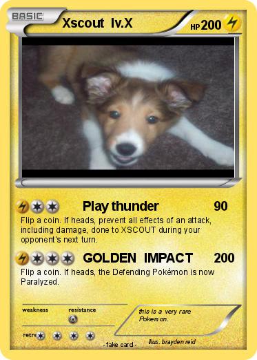 Pokemon Xscout  lv.X