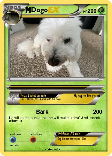 Pokemon Dogo