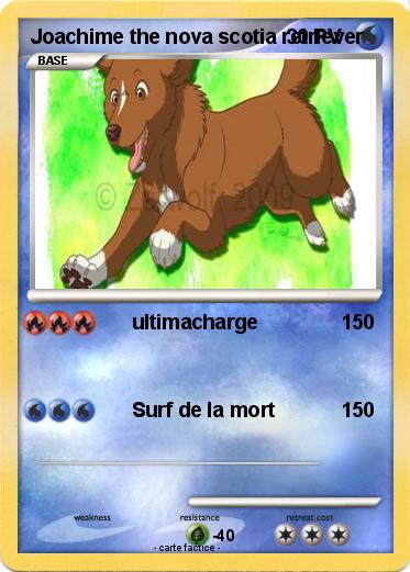 Pokemon Joachime the nova scotia retriever