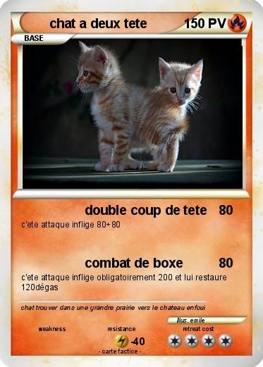 Pokemon chat a deux tete