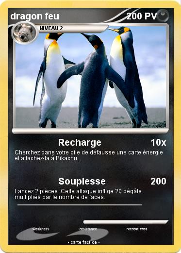 Pokemon dragon feu