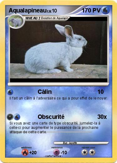 Pokemon Aqualapineau