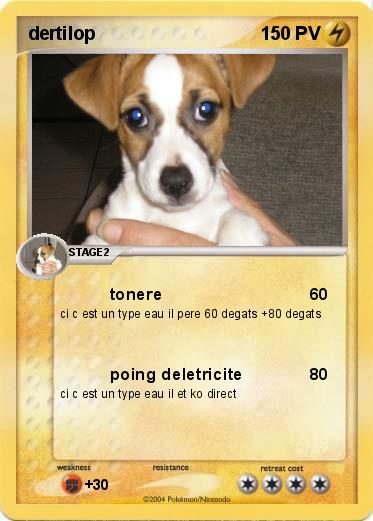 Pokemon dertilop